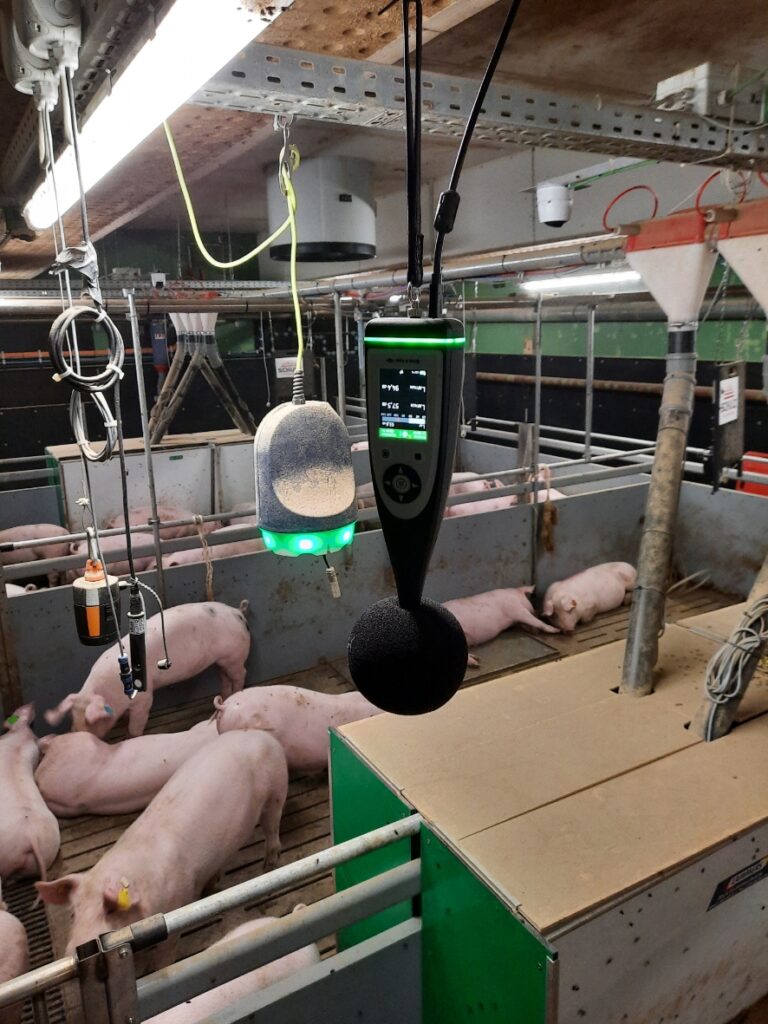 Monitoring pig farming